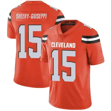 Damon Sheehy-Guiseppi Cleveland Browns Player-Issued #15 Brown Jersey from  the 2019 NFL Season - Size 38